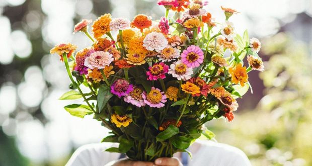 Inside The Flower Delivery Industry: From Ireland To The World 4