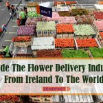 Inside The Flower Delivery Industry: From Ireland To The World 8